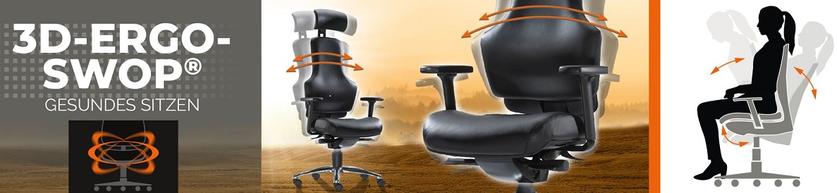 Bürostuhl-Riesa.de ➜ 3D-ErgoSWOP ➜ Bewegtes Sitzen
